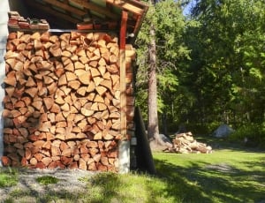 дрова для бани